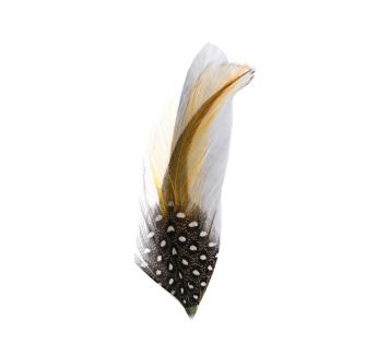 Plumes pour chapeau Hat Feather