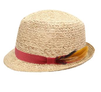 Trilby Raphia My Trilby Raffia